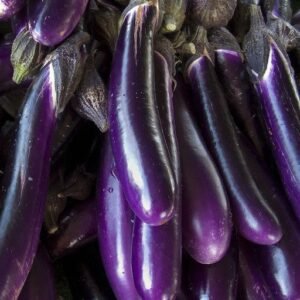 Eggplant
